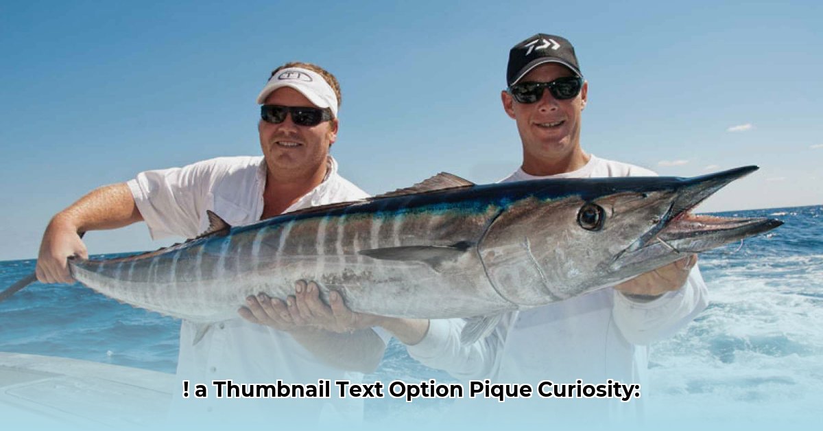 wahoo-mcdaniel-net-worth